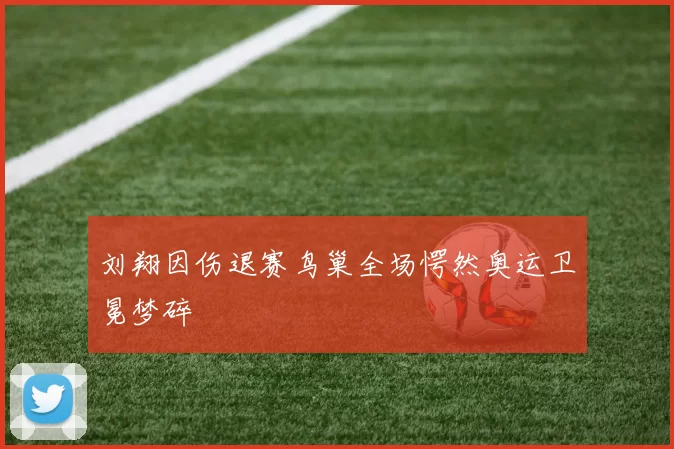 刘翔因伤退赛鸟巢全场愕然奥运卫冕梦碎