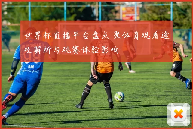 世界杯直播平台盘点 聚体育观看途径解析与观赛体验影响