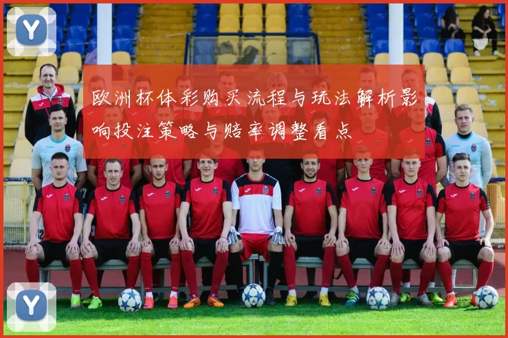 欧洲杯体彩购买流程与玩法解析影响投注策略与赔率调整看点