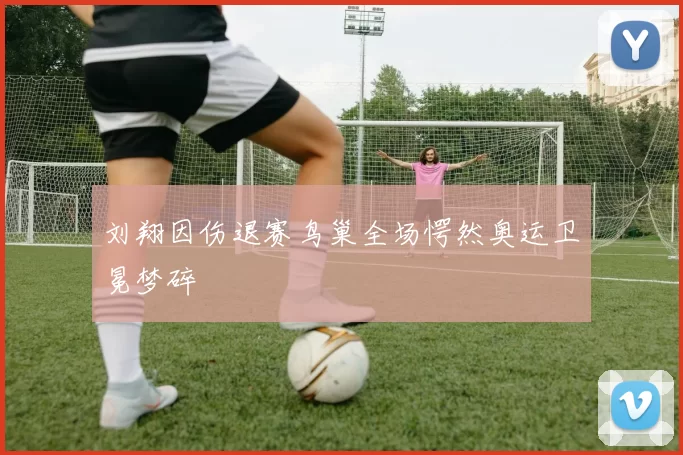 刘翔因伤退赛鸟巢全场愕然奥运卫冕梦碎